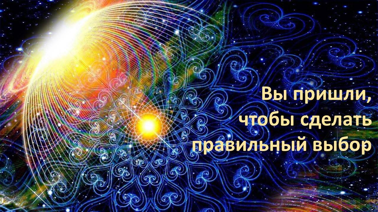 Вы пришли, чтобы сделать правильный выбор.
