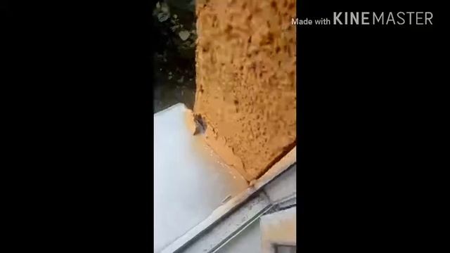 238ee1f717133c3ee873671eed1930a6