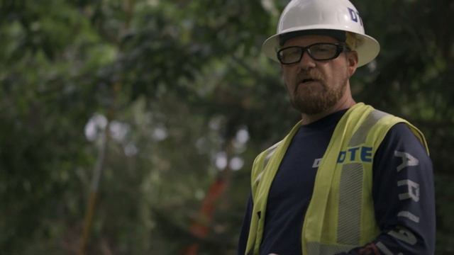 Electric Resilience - We're All Over (Westland, Inkster, Livonia)