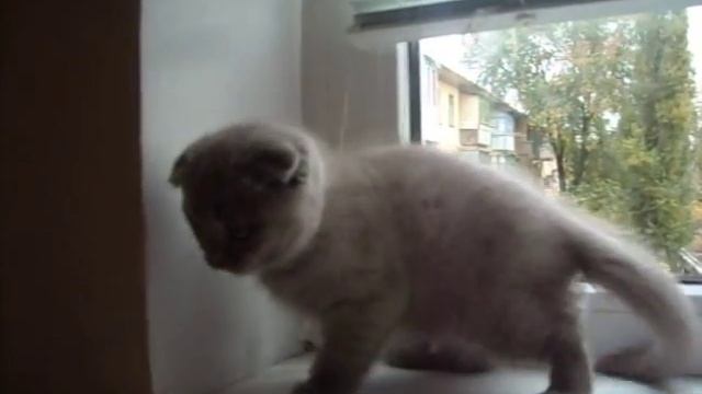 0cc47e564218634e133324594856ec8a