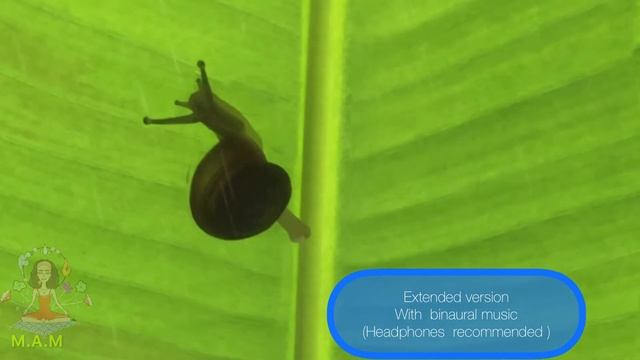 7.Powerful Quantum Jumping Meditation To Find Your Answers(Secret Tongue Technique)