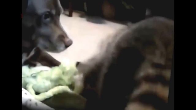 03d9695354a48d9feafca7782e3a2703