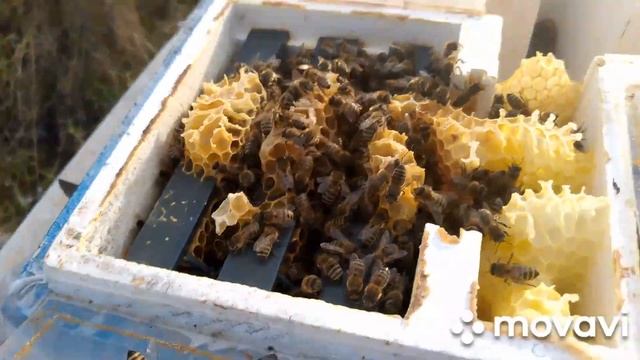 91f582746ca2ed270b50df1ca8bbbb9d