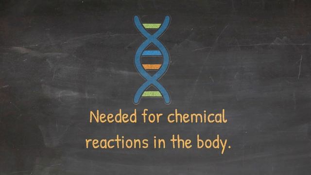 What Does Magnesium Do