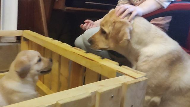 Линда и детки.mp4