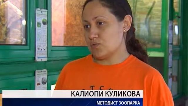В омском Экоцентре впервые удалось вывести поголовье змей