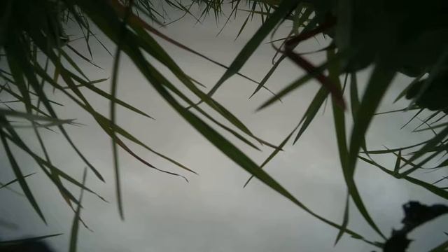 Аккум в ноль!