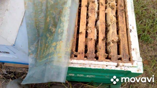 8074851d746b15c77f7dc0505bc2a5da