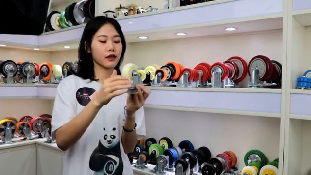 Introduction And Show Pp Plastic Medium Duty Casters