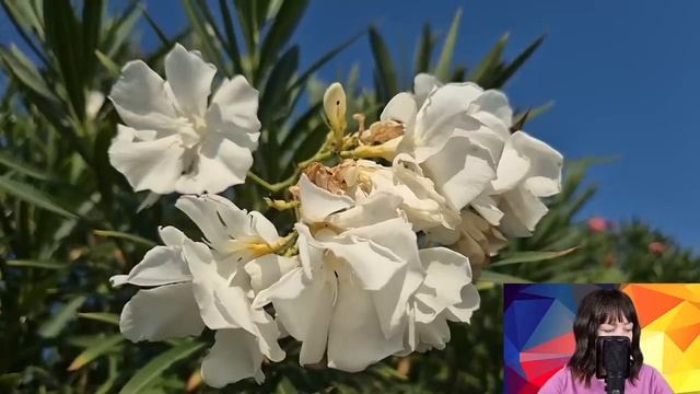 Хирурги боялись оперировать миллионера. Но когда за дело взялась санитарка все раскрыли рты...