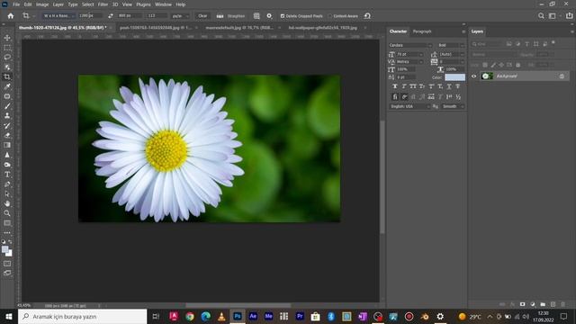 C824229690e7369bd34b60fe90d3ac73