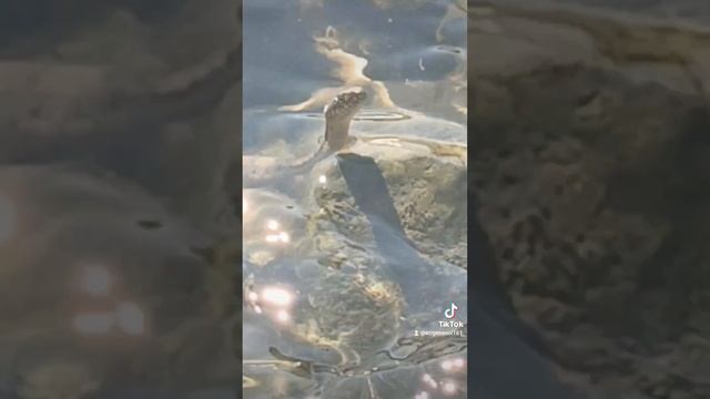 ахахахха #рекомендации