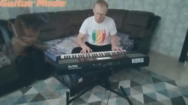 Steel Guitar KorgPa700