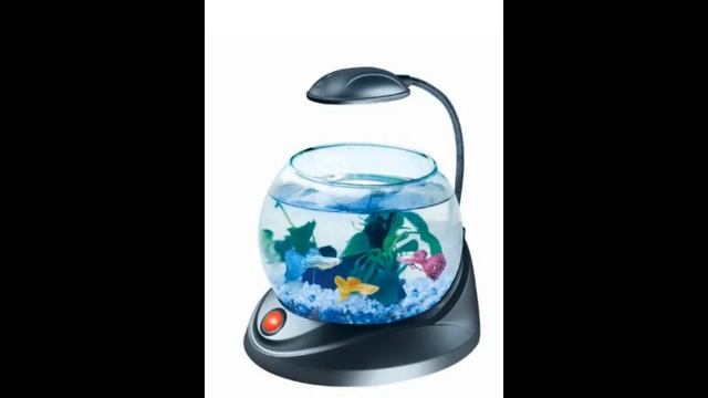 2757d9afa7ed3d56cf3873a058e93d07