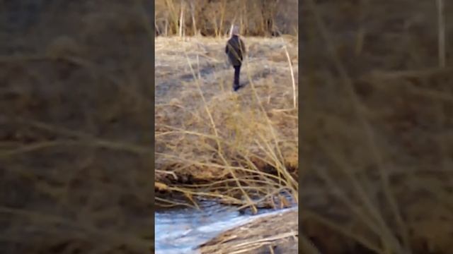 Идём на шурап