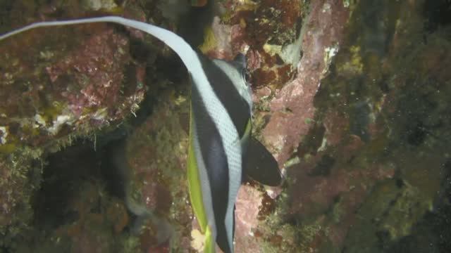 D58d684fe85a05cb8235d3e04b5f336e