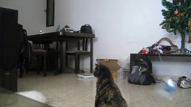 Люси акробат