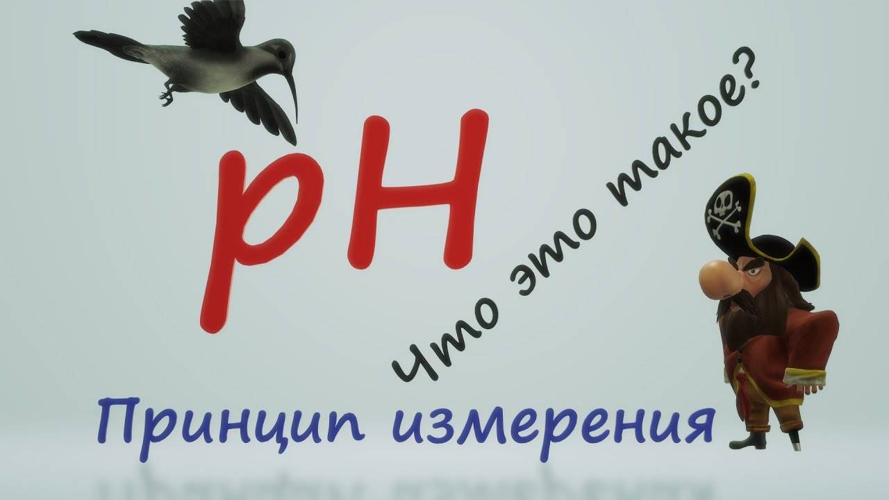 Слава Славин