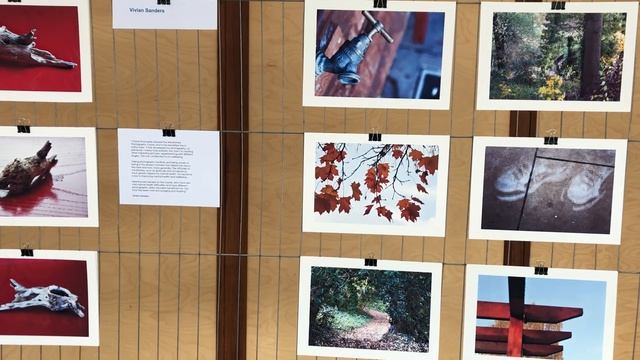 Finding Focus Exhibition Video Tour