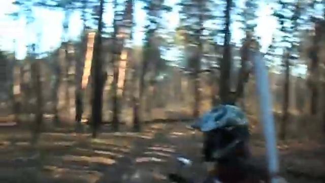 В Самарский бор 09-11-2013 ч5