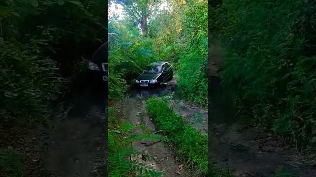 #remix #music #dj #housemusic #амулеты #edm