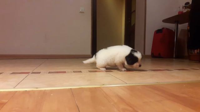 021fddce72a1c91f17f54238eb3e5e3a