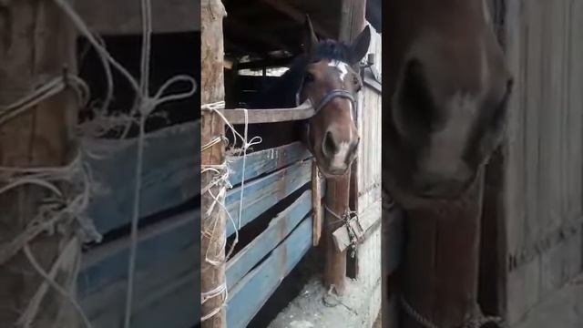 479427d1bb78de0ccaf085965ba9d830