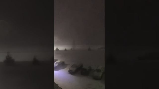 08cd967a430d1507e9c8321c88243b7d