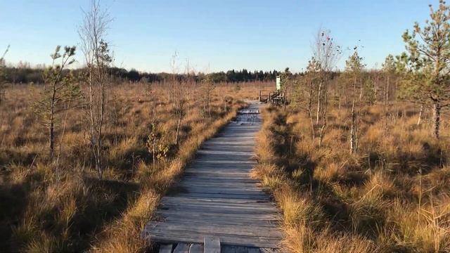 A1ab38240db18c932d276e09abbb5107