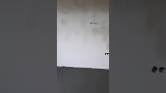 0f61ea0b1c8b68fede4dba90d554fbd4