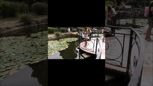 #shorts Форосский парк- ещё одна жемчужина Крыма//Foros Park Is Another Pearl Of The Crimea