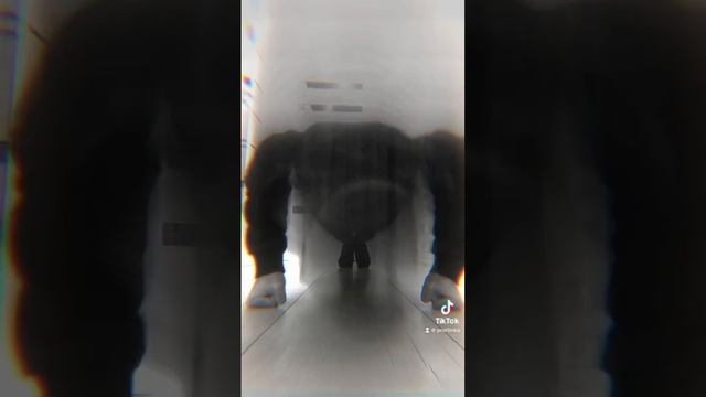 0a6aff0dcd2f88515820d4ee13d23e46