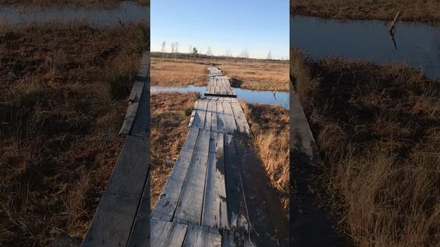 Babb93dc1baae0c749929a94d89b15bd