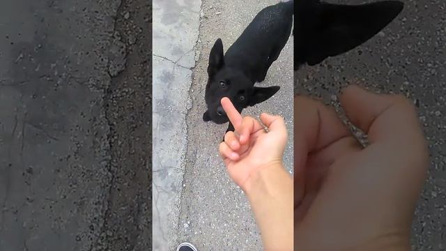 Съела палец!!!