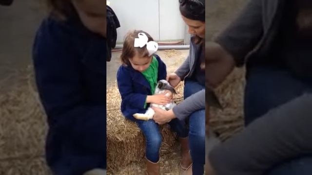 Claire Crying About Bunny 2