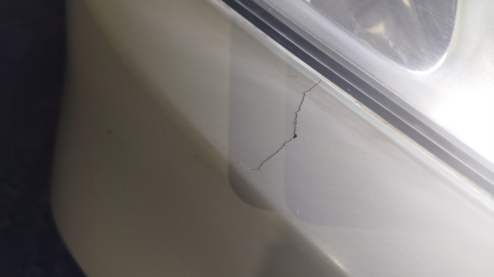 встреча со стаей куропаток на трассе