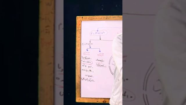 لماذا لا تحتوى خلايا الدم الحمراء على نواه ؟؟🤔🩸