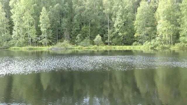 513edf07c85993a50f84d57c993dfd17