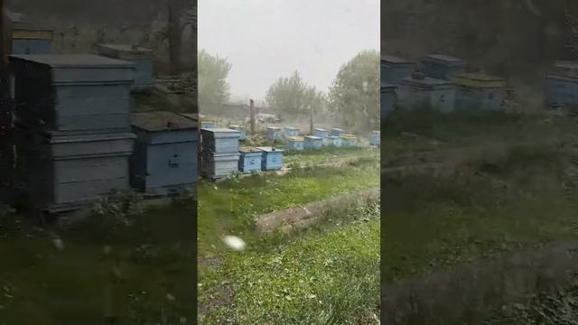 9 мая 2024 года - ЗИМА ВЕРНУЛАСЬ!!!