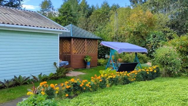 Жидилов бор