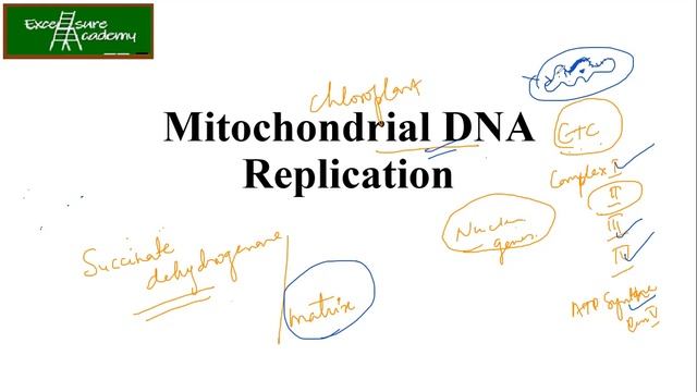 Molecular_Biology #Lecture_14 #DNA Replication #Modes Of Replication