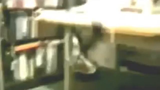 Самые смешные видеоролики в мире за всю историю