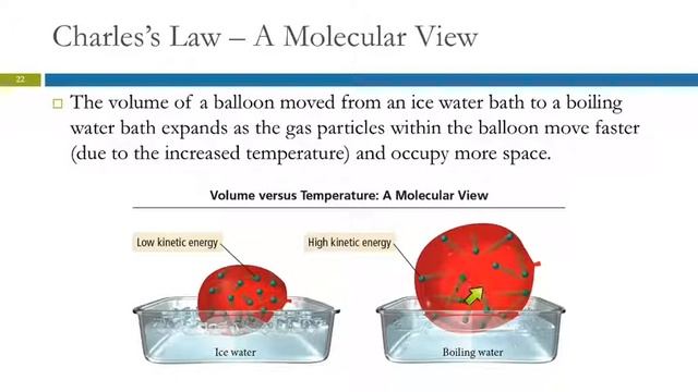 5.3 The Simple Gas Laws: Boyle's Law, Charles's Law, & Avogadro's Law