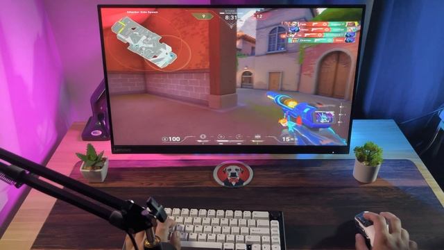 The Relaxing Side Of Valorant / Giveaway Winners