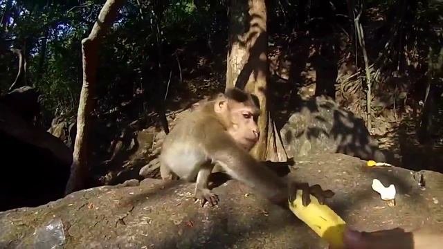 A22b40511d134bbbeb1ba3d8f32bc5ce