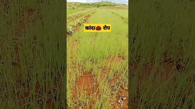 C2d64a4b6292409daba03fed33702ee5