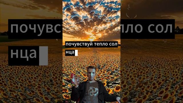 🏡 Подсолнухи, солнце и мечта о новом доме в 2025 году ☀️