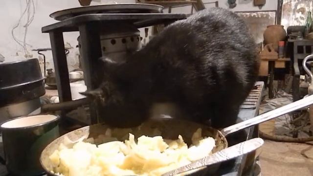 вкушаем, и запиваем молочком)