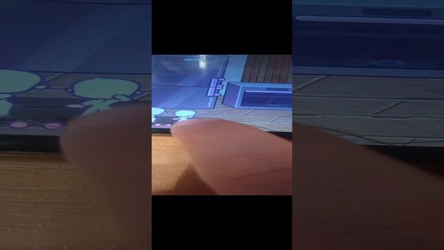 VID_20250105_172841.mp4