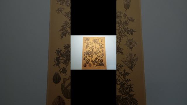 Как прошёл год после совершеннолетия моего воспитанника.